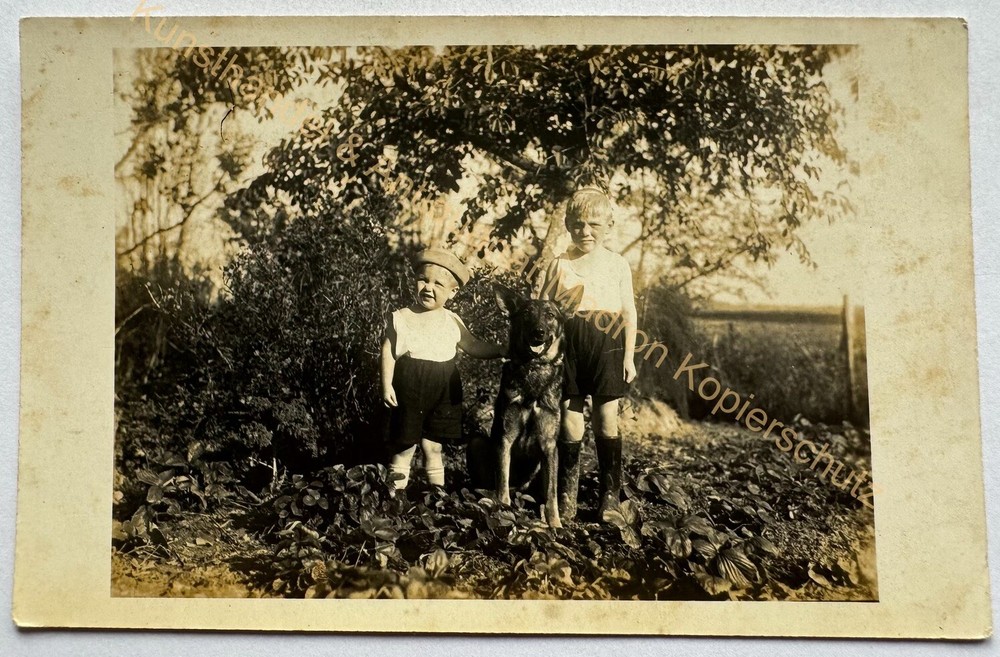 orig. Photo postcard photograph child children around 1930 boys dog German Shepherd