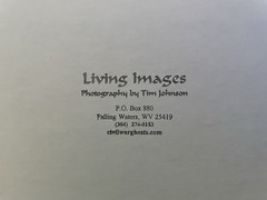 Tim Johnson LIVING IMAGES Civil War Soldiers Battle GHOSTS Print Picture SIGNED