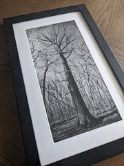 Original Black and White Photography, Nature, Tree, Custom 11×19