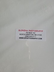 Photography Print By John T Slonina Matted 8×10 Lily Pads On A Pond