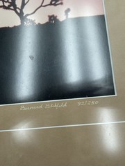 Vtg Large Format Photography Joshua Tree And Full Moon Signed And Numbered 21×29