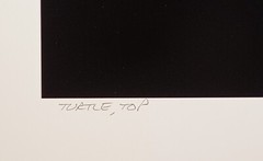 Charles Fendrock ‘Turtle, Top’ Unframed B&W Photograph – Large Format