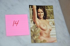 Pin Up Art Photograph Postcards Lot of 23