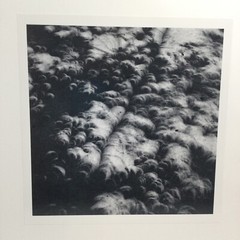Original Silver Gelatin Print By Kelly Mills 1994 “ Eclipse of 20th Cen”16×16