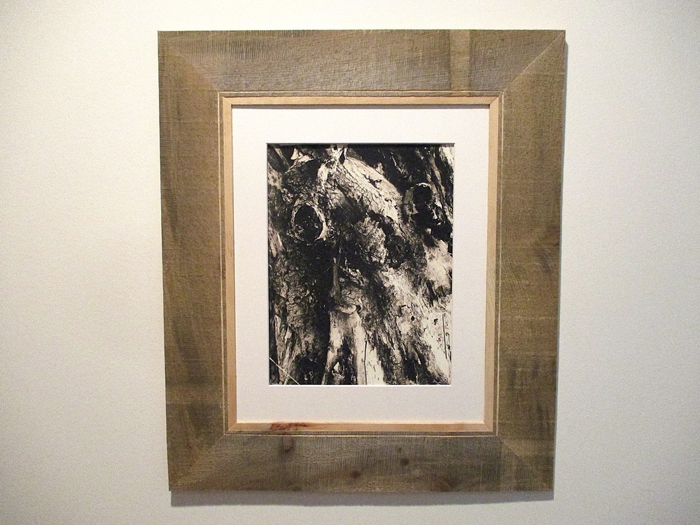 north woods strange 17 x 20 black and white photography