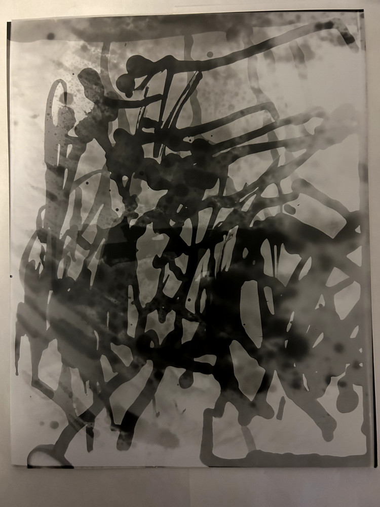 Untitled Photogram (1) Circa 2018