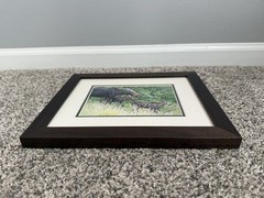 Mother Moose With Calves – Framed Photograph Wall Artwork with Museum Glass
