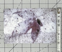 Robert Smith (Photographer) 2001 Art Announcement Card – Eyes Wide Open