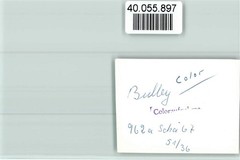 40055897 – 5584 Bullay Local View