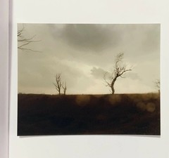 TODD HIDO: Cracked Trees 2009 SIGNED Photo w/ Ltd Ed. One Picture Book #59 *NEW*