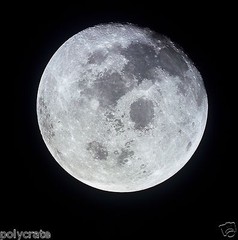 Photo NASA – Apollo 11 – the moon – view space – conquest space travel