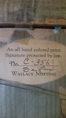 Rare Wallace Nutting Hand Colored Photo Floral #3563, all original.  