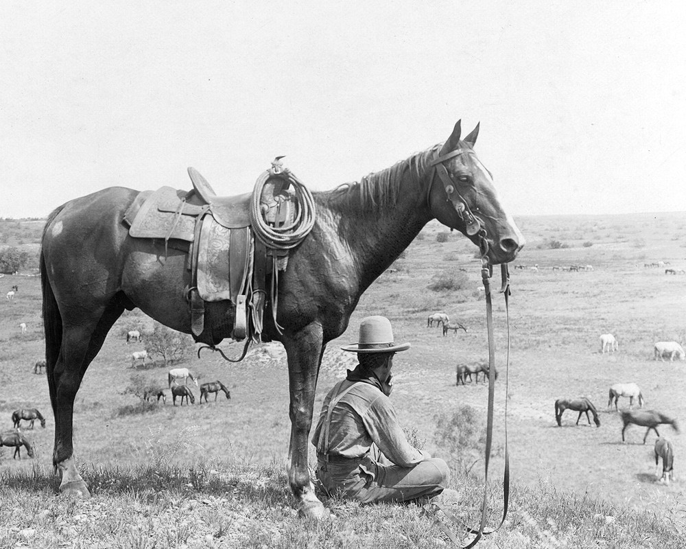 The Horse Wrangler (1910) 8″x10″ Cowboy Print Erwin Smith Photograph Western