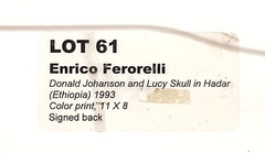 ORIGINAL ENRICO FERORELLI ART PHOTO DONALD JOHANSON and LUCY SKULL in HADAR 1993