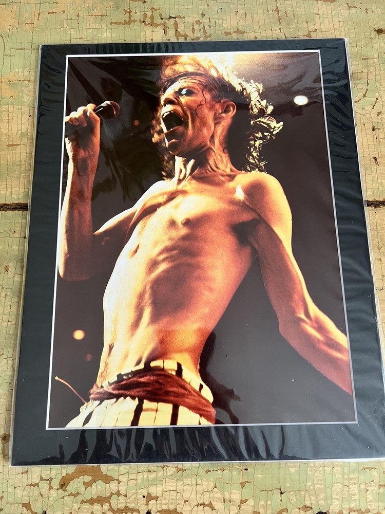 Vintage Mick Jagger Photo Print 1975 Annie Leibovitz Rolling Stones Music Art