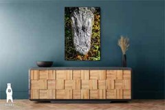 Alligator Photography Prints – Wildlife Fine Art – Sothern Animal Décor