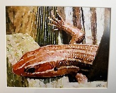 Lizard Digital Watercolor Original Photograph 8 X 10 Matted To 11 X 14 – Signed