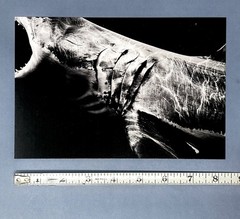Matt Draper Art Show Announcement Card 2025 – Within One Breath – Leica Gallery