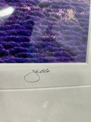 Signed Provence France Lavender Field Print “Mistral” 6/250 Framed Landscape Art