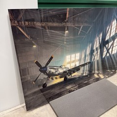 Peter Lik «The Reaper» 150cm 5’x3′ Aviation Plane Recess Mount Picture with COA