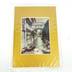 Bridge Of Sighs Venice Italy Stereoview 3-d Photo Reprint Stereographic Arts