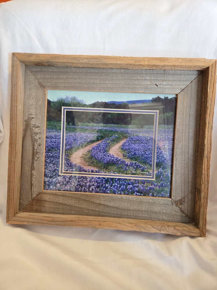 DAN RICHARDS Texas Hill County Blue Bonnet Flower Framed Matted Photograph Cedar
