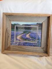 DAN RICHARDS Texas Hill County Blue Bonnet Flower Framed Matted Photograph Cedar