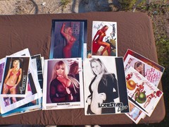 Large lot of Stars signed photos