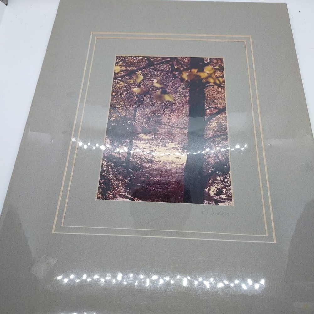 Photo Nature Trees Robert E Walker Venice Florida Signed Matted Sealed 5×7 sepia