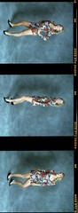 1 roll (10 negatives) color medium format Kodak film VPS sexy pinup