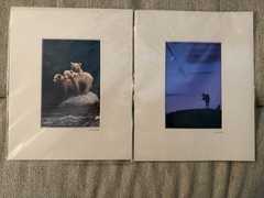 2 Jim Stamates Wildlife Photo Prints Moose Bears Nature