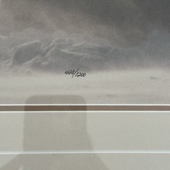 Thomas D. Mangelsen WIND SONG Polar Bears Hudson Bay Photograph 20″x30″ 428/1200