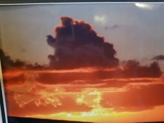 Maui Hawaiian Fiery Orange Sunset Matted Photograph by Joe Harden 2004