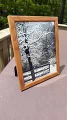 Original photograph, ‘Snow Cover’ by Serene Scenes in Maine, 8 x 10, wood frame