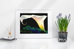 CALLA LILY 4×6 » MATTED AND FRAMED PHOTO PRINT, READY TO HANG