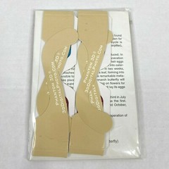 Collectors Insects 3-D 3D Photographs Set Art Phantom Image Barry Rothstein New
