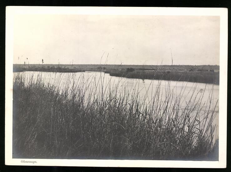 Photograph German South West Africa DSWA, shoreline on the Okawango