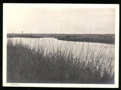 Photograph German South West Africa DSWA, shoreline on the Okawango