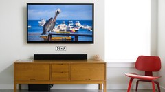 Pelican on Ocean Side, High Resolution Image, Many Formats, TV Art