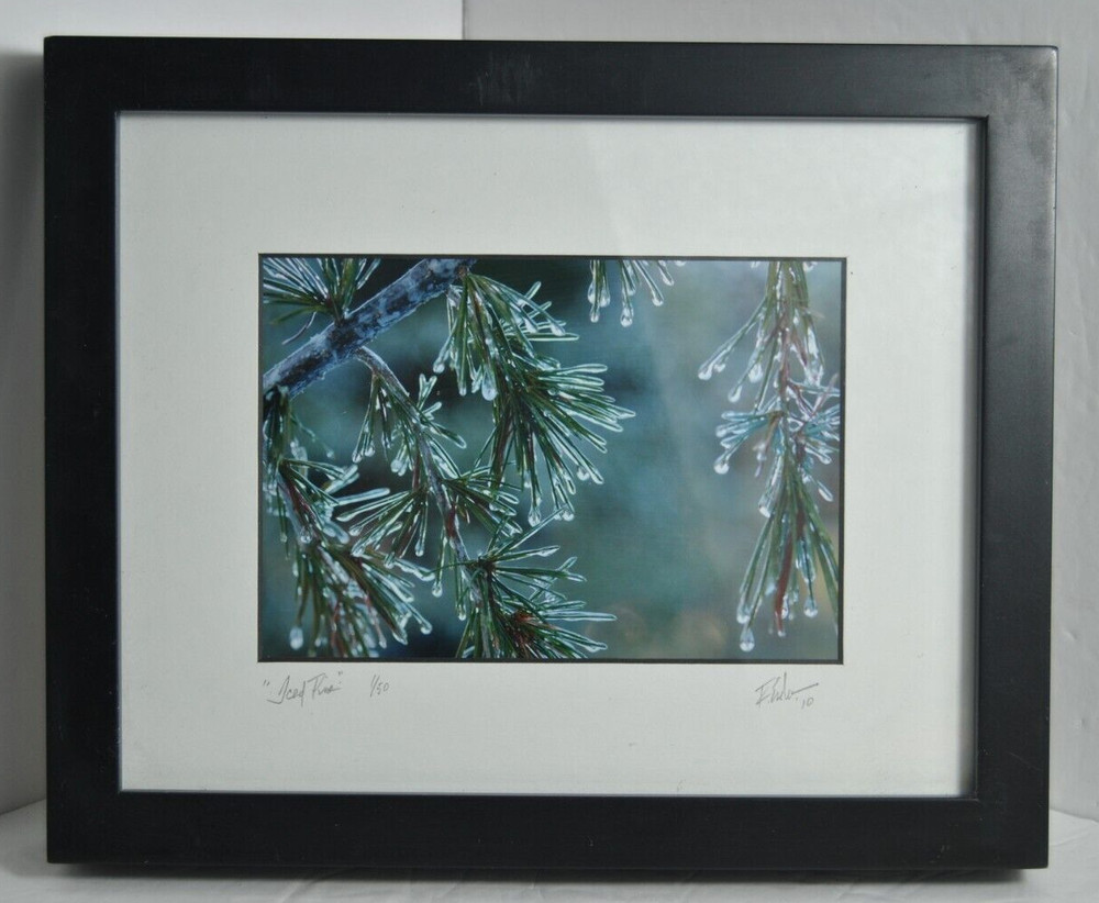 Icy Pines 1 of 50 Framed and Matted Under Glass Signed Photograph