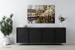 Phinizy Swamp – Fine Art Nature Photography by Bear8Photo