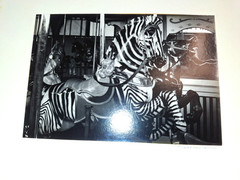 Vintage Gelatin Silver Fine Art Photography Print Signed 8×10 COA 1978 B+W Photo
