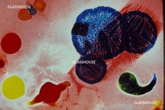 COLORFUL ABSTRACT LIQUID LIGHT SHOW, 1969 PHOTO SLIDE