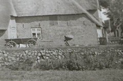 Great Old Negative – Yard – Building Thatched Roof – 1920s-40s