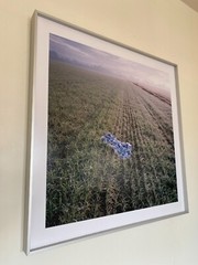 Demetris Koilalous, Untitled, from the project “CAESURA / The Duration of a Sigh