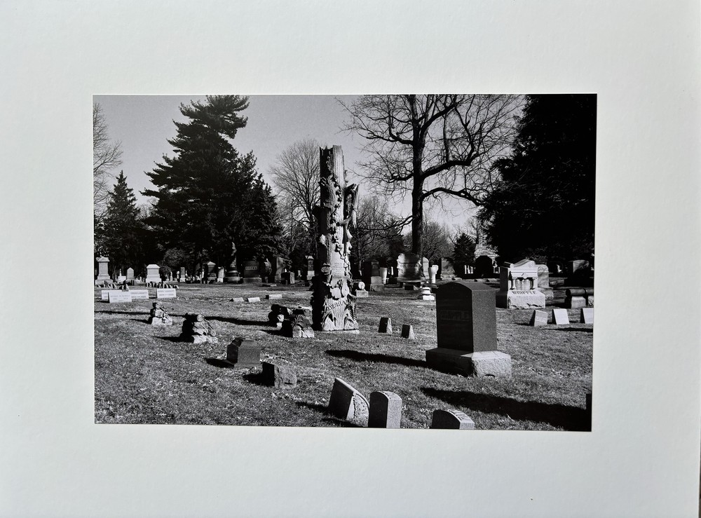 Tree Sculpture Cemetery Springfield IL original b/w photo 11×14 in Alan Sewell
