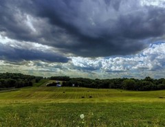LANDSCAPE. 8.5×11 or 13X19 COLOR OR B&W, BORDERLESS **FREE SHIPPING**