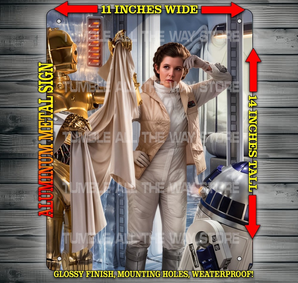 Leia with C3PO and R2D2 on Hoth Changing Room Star Wars Metal Sign Art 14″ x 11″