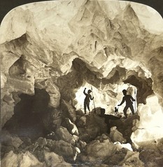 The Repairs of Polar Bears 1904 Photo Stereo White Vintage Citrate