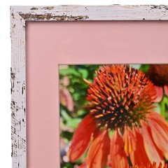 MICHAEL RAY Original Vintage Signed Long Island NY Floral Still Life Photograph